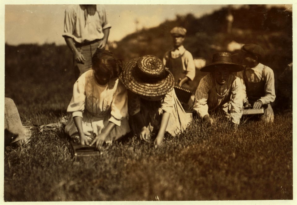 Showing pickers at Swift's Bog. LOC nclc.00164
