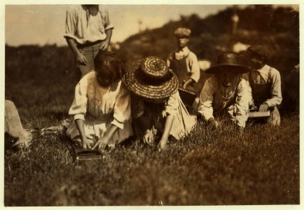 Showing pickers at Swift's Bog. LOC nclc.00164