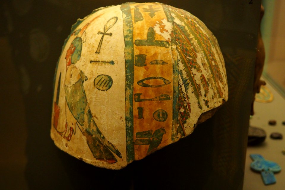 Shoulder of a mummy with ba soul-MAHG 9171-P6130440