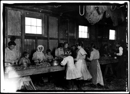 Shrimp pickers in Peerless Oyster Co. Photo was taken just as they stood. On other side of shed still younger... - NARA - 523410
