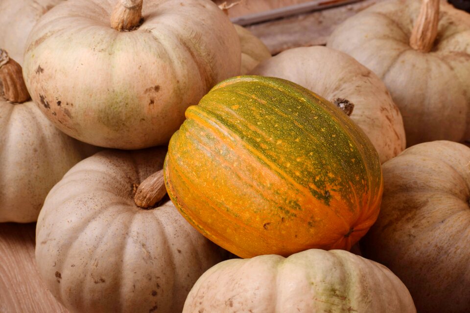 Food halloween vegetable