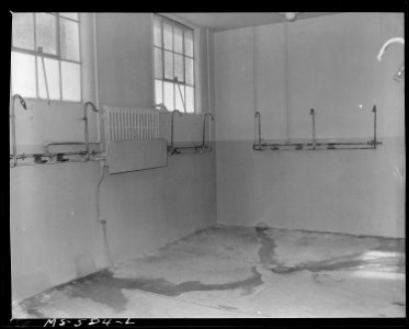 Showers in wash and change house for miners. Columbia Steel Company, Columbia Mine, Columbia, Carbon County, Utah. - NARA - 540504 photo