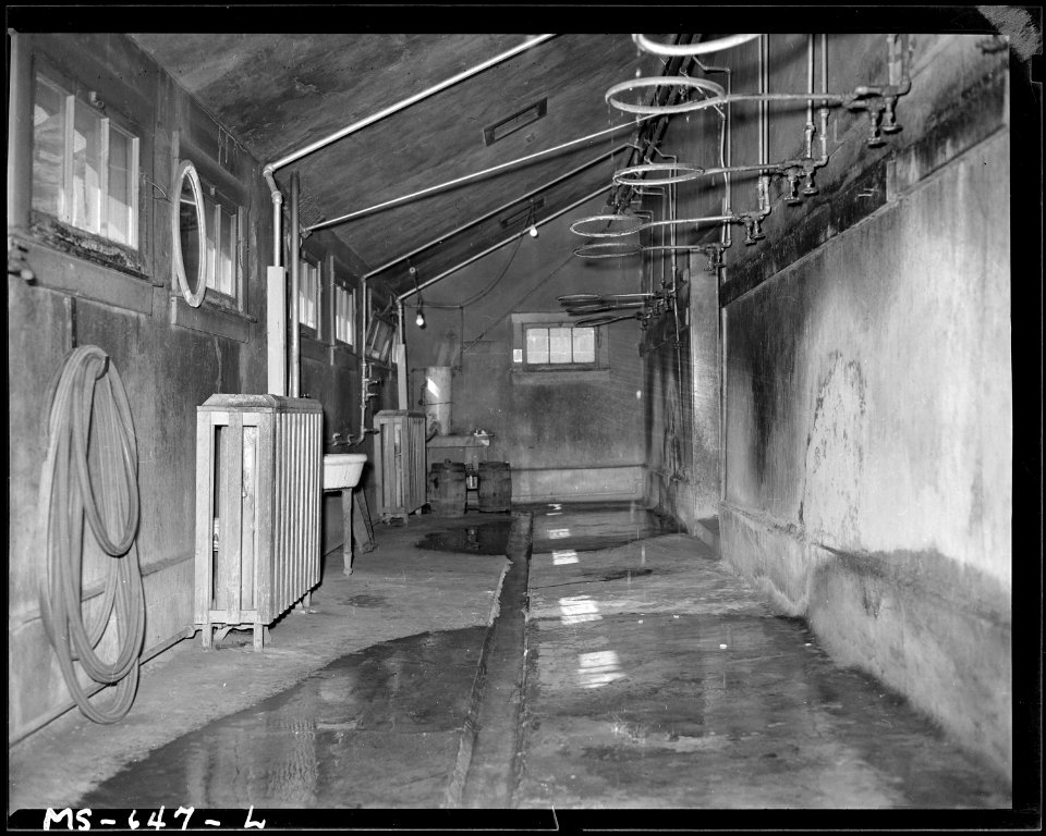 Shower room in wash and change house. Utah Fuel Company, Castle Gate Mine, Castle Gate, Carbon County, Utah. - NARA - 540550