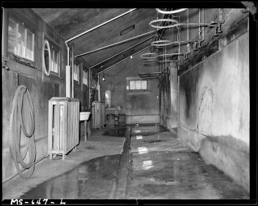Shower room in wash and change house. Utah Fuel Company, Castle Gate Mine, Castle Gate, Carbon County, Utah. - NARA - 540550