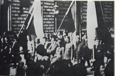 SHS zastave