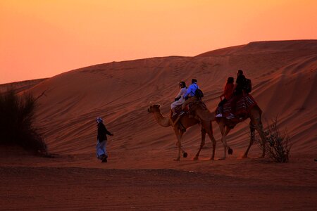 Camel ride ride orange photo