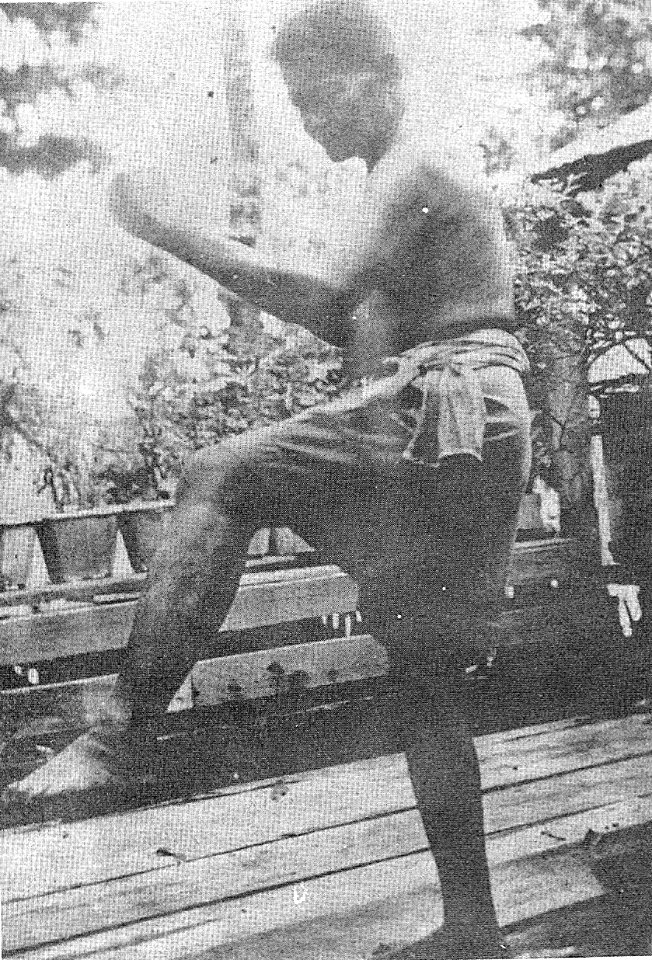 Siamese Boxers from Khung Taphao Uttaradit Province 1