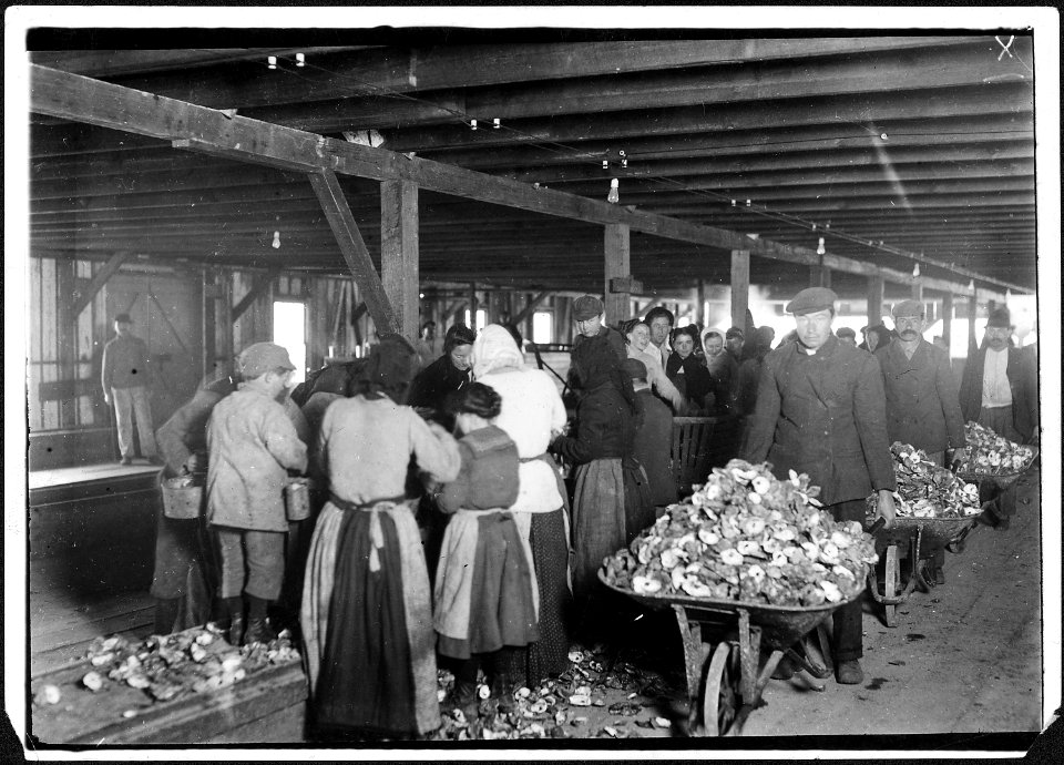 Shucking oysters in Alabama Canning Co. Small boy in left is Mike Murphy, ten years old. Bayou La Batre, Ala. - NARA - 523395