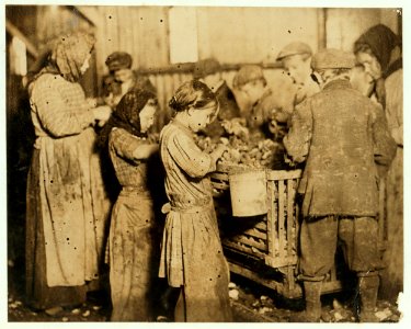 Shuckers in the Varn & Platt Canning Company. This 4 year old in the foreground was helping some. Six of the shuckers were 10 years and up to twelve. LOC nclc.01027