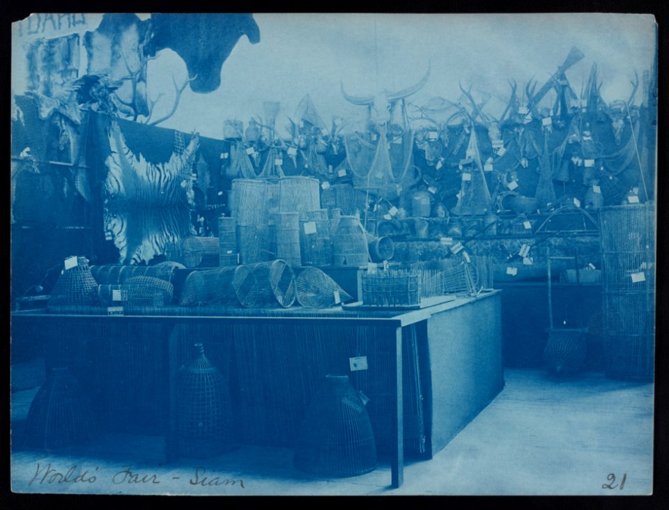Siam exhibit at the World's Fair, St. Louis, Missouri LCCN2017650844