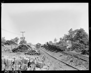 Shuttle cars full of coal going from the mine portal to the car dump where the coal is conveyed to the tipple. Keener... - NARA - 540658