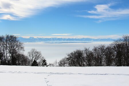 Winter snow landscape photo