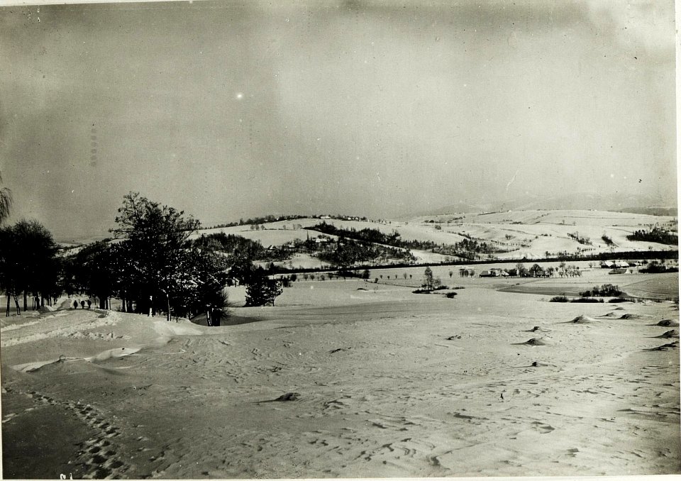 Sicht von der Straße westlich Lapanów gegen Osten und Süden. (BildID 15591846)