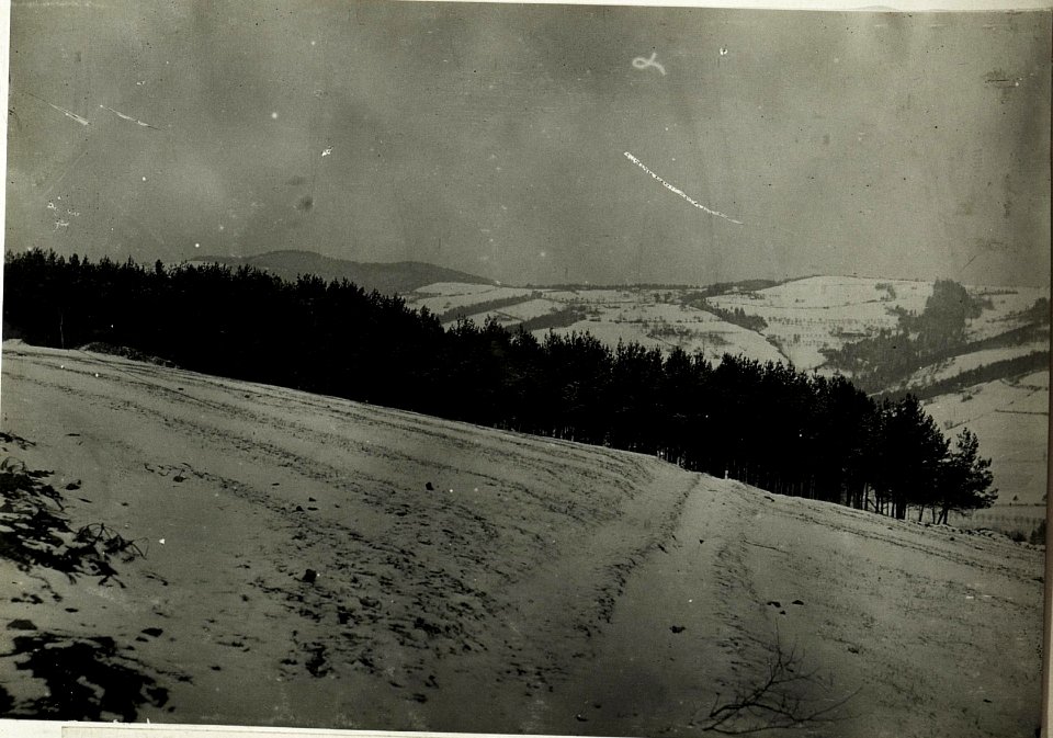 Sicht von Orlowka gegen Norden, Südhang der Kobyla - Höhe. (BildID 15592470)
