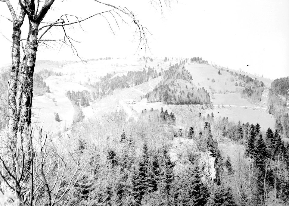 Sicht von La Caquelle auf Les Nalettes und Montgremay - CH-BAR - 3240444