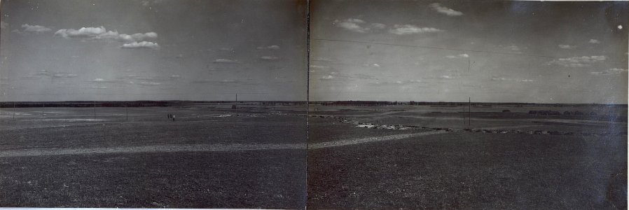 Sicht gegen die Front über den Sumpf bei Pazwa. (BildID 15692168)