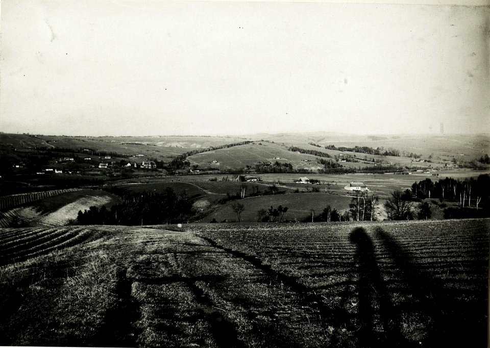 Sicht von Dembina gegen Westen. (BildID 15592042)
