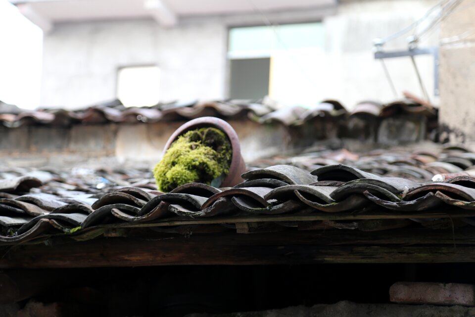 The ancient town houses jiangnan