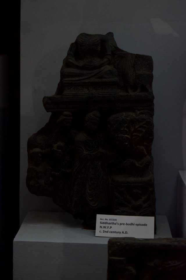 Sidhartha's pre-bodhi episode