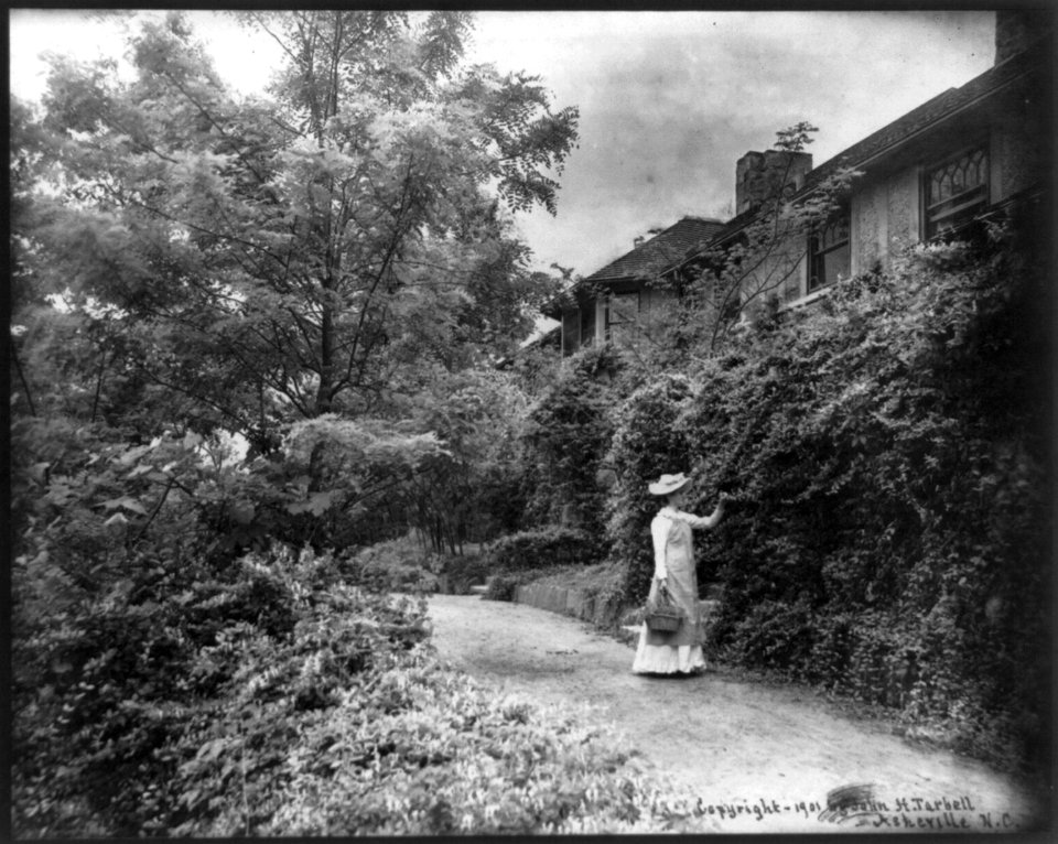 Side view of Erskine Residence, Lynn, N.C. LCCN2005693334