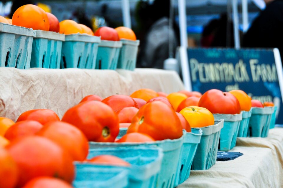 Food tomato organic