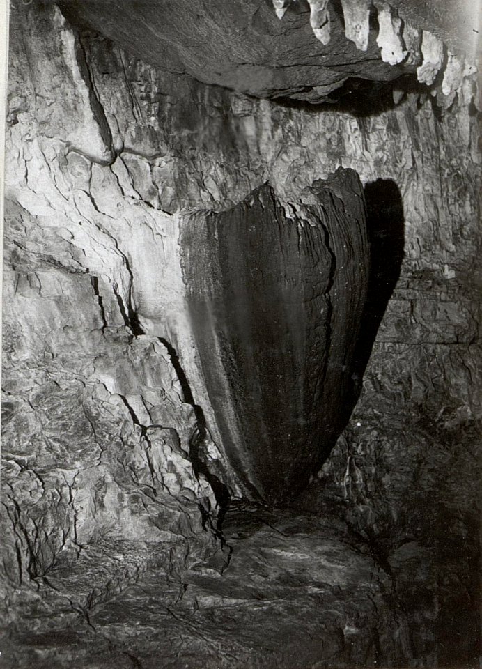 Siegfried Höhle (BildID 15606962)
