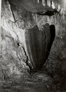 Siegfried Höhle (BildID 15606962)