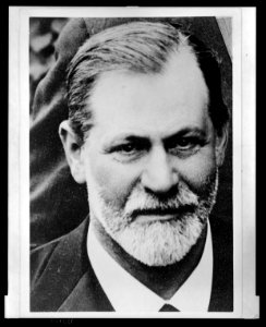 Sigmund Freud, bust portrait, facing front LCCN2010651703