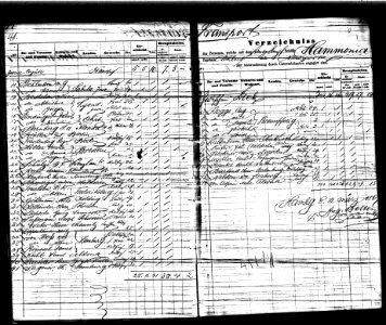 Siegmund Freudenberg (1828-1908) of Berlin migrating from from Hamburg, Germany to the United States on March 16, 1867 aboard the SS Hammonia