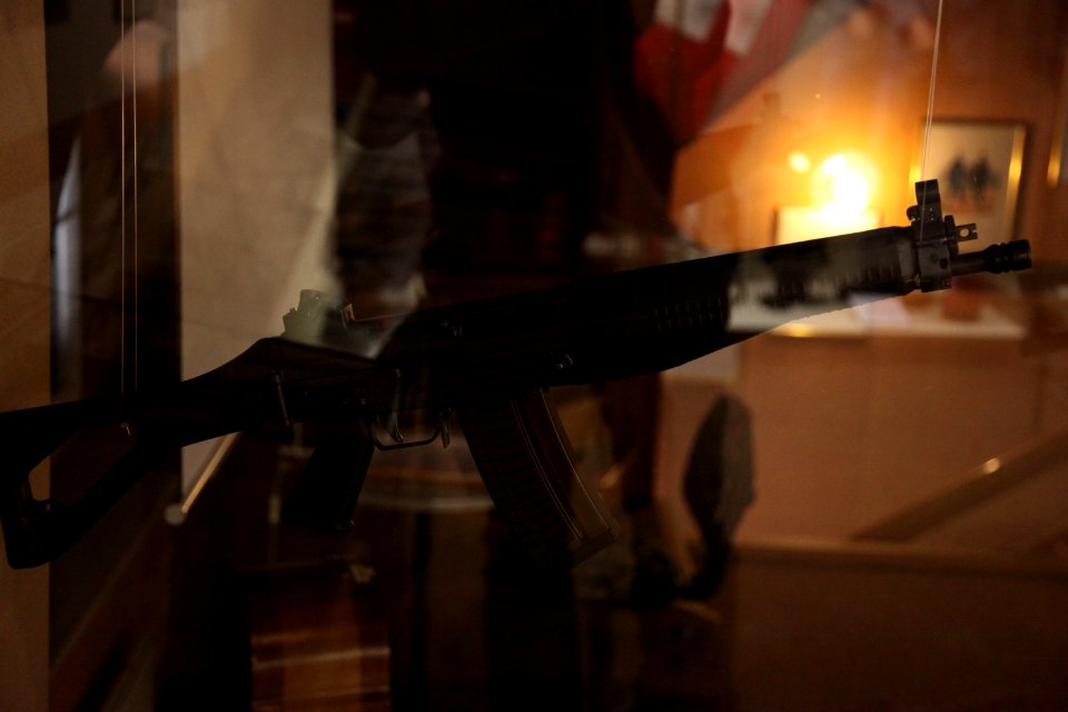 Sig 541 6.45mm-IMG 0071