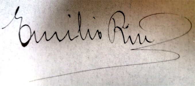 Signatura emilio riu