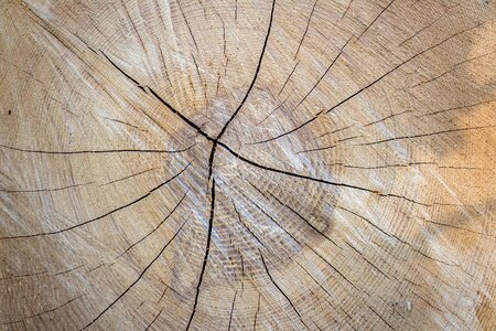 Model abstract nature