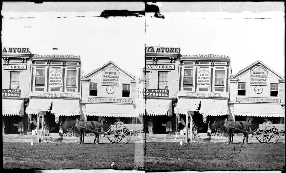 Signs of the Mormon Cooperative Institution. Salt Lake County, Utah. - NARA - 517357