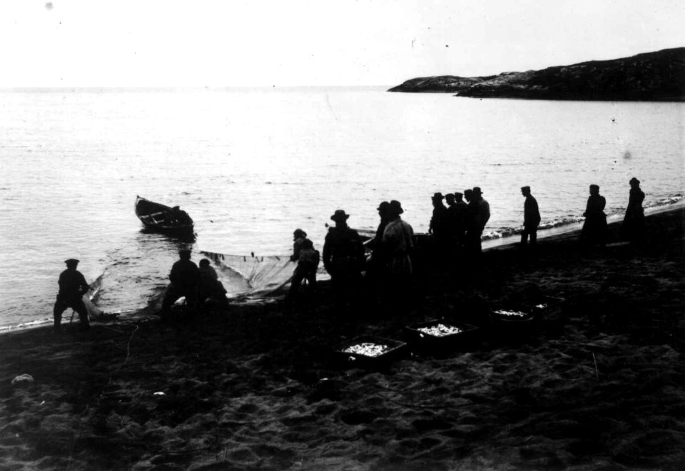 Sildefiske, ved Grense Jakobselv, Sør-Varanger, Finnmark, antatt 1900-10 - Norsk folkemuseum - NF.06725-039