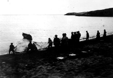 Sildefiske, ved Grense Jakobselv, Sør-Varanger, Finnmark, antatt 1900-10 - Norsk folkemuseum - NF.06725-039