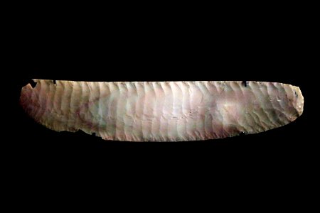 Silex blade-D 1085-D 1244-IMG 9509-black
