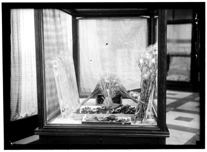 SILK WORMS IN THE NATIONAL MUSEUM LCCN2016866494