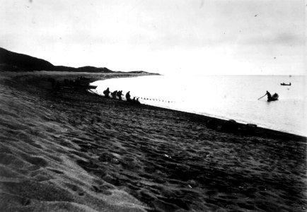 Sildefiske, ved Grense Jakobselv, Sør-Varanger, Finnmark, antatt 1900-10 - Norsk folkemuseum - NF.06725-040