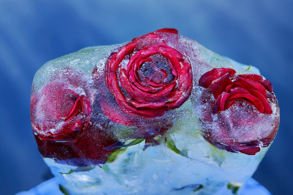 Frozen ice love symbol