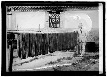 Silk Mfg. In China. Drying and throwing the silk fiber and preparing the warp and weft for weaving LCCN2016822027