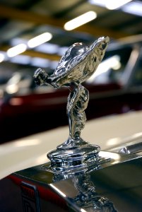 Silver Lady (3092262823)