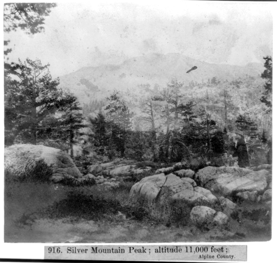 Silver Mountain Peak; altitude 11,000 feet; Alpine County LCCN2002723004