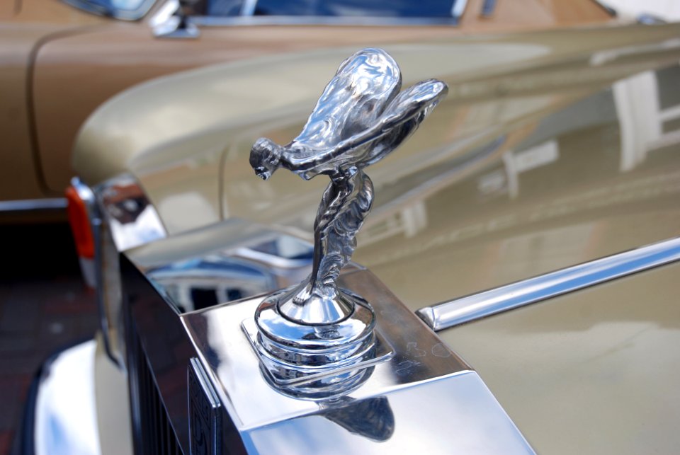 Silver Lady (2505465420)