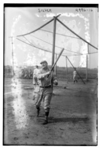 Silver, a Vaudeville comedian (baseball) LCCN2014709384