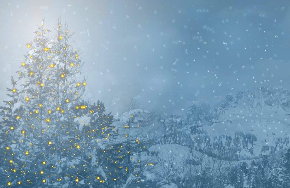 Greeting card christmas tree christmas card