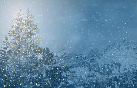 Greeting card christmas tree christmas card