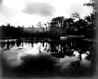 Silver Springs, Florida, in moonlight, 1887 cph.3c32843