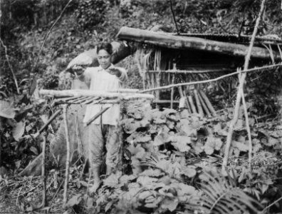Simon anropar djiwah. Sulawesi, Kabupaten Bolaang Mongondow, Danau Moat. Indonesien - SMVK - 010675