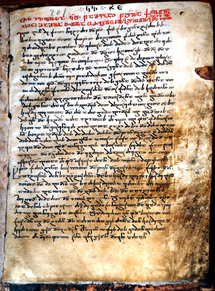 Sinai Collection (1)