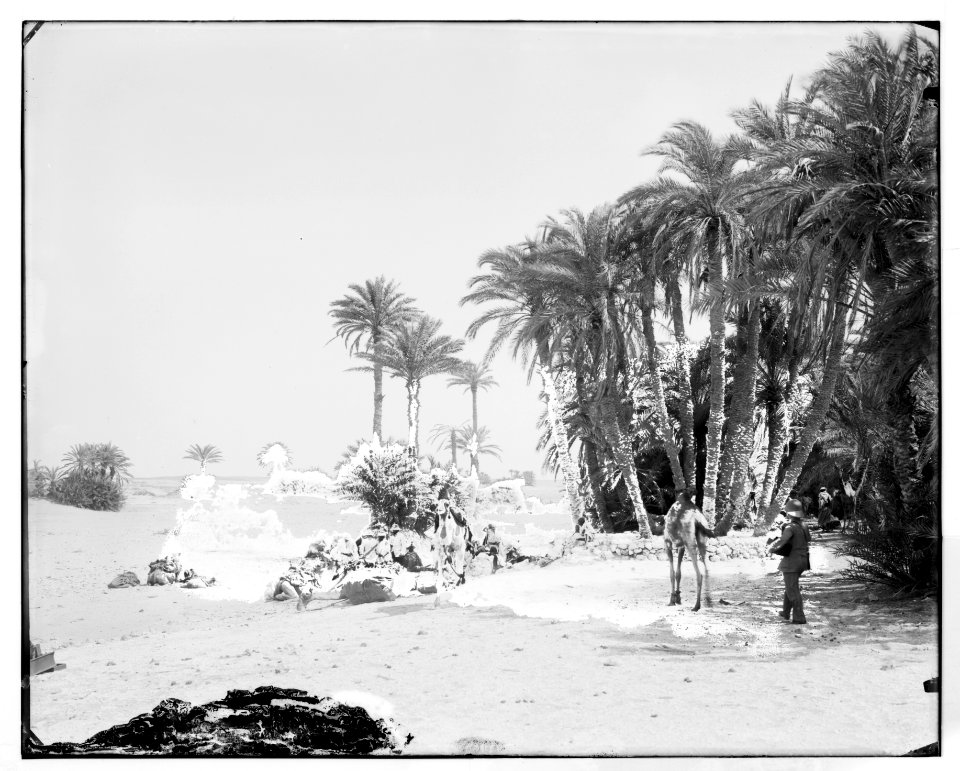 Sinai. Caravan at el-Wad preparing to cross the desert. LOC matpc.07227